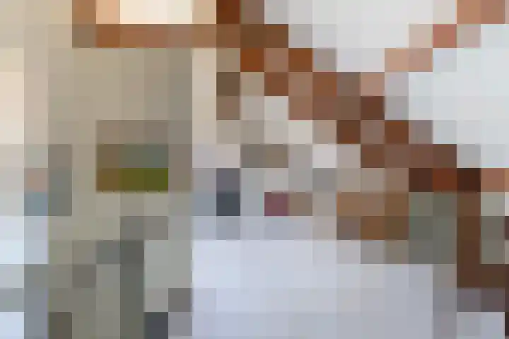 Zuiderlaan 45 Apeldoorn thumbnail 14