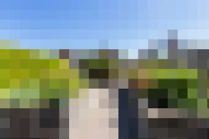 Zuiderlaan 45 Apeldoorn thumbnail 20