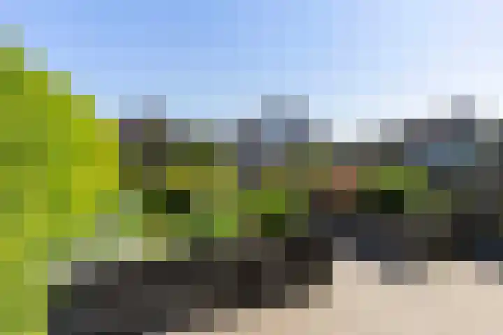 Zuiderlaan 45 Apeldoorn thumbnail 21