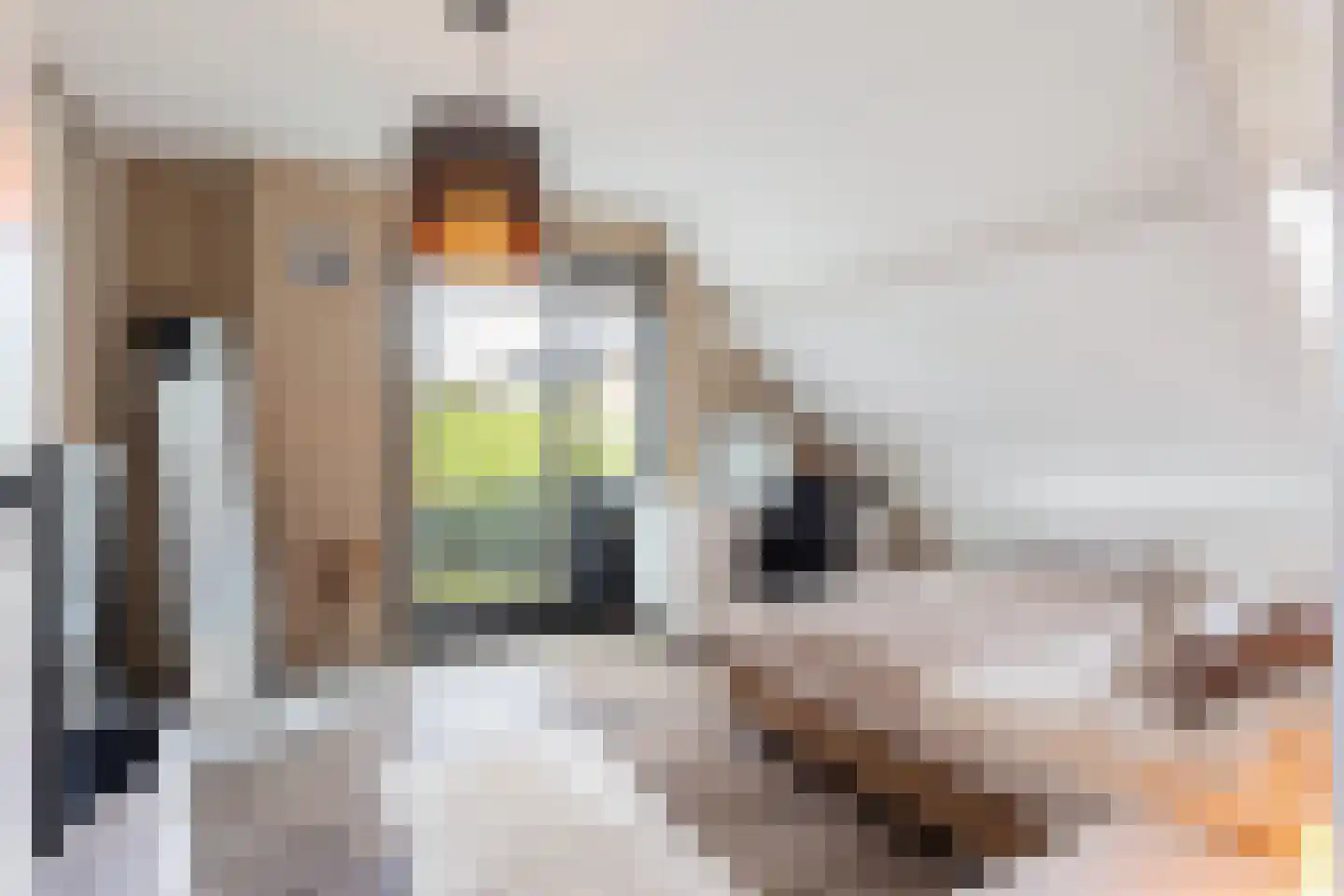 Zuiderlaan 65 Apeldoorn thumbnail 37