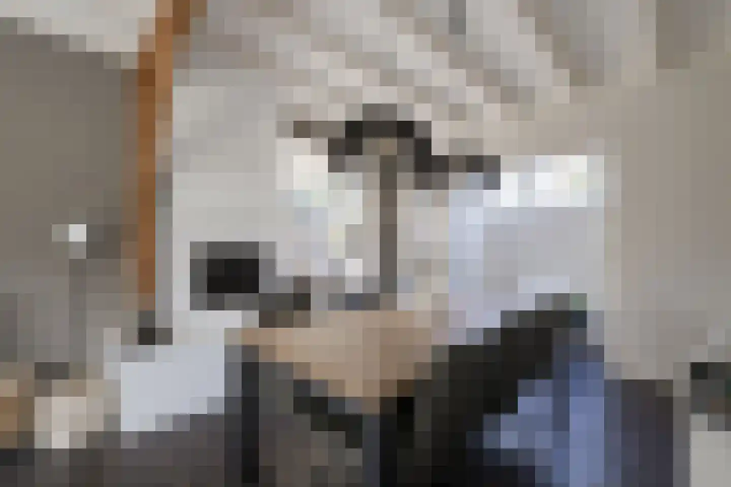 Zuiderlaan 9 Aalten thumbnail 10