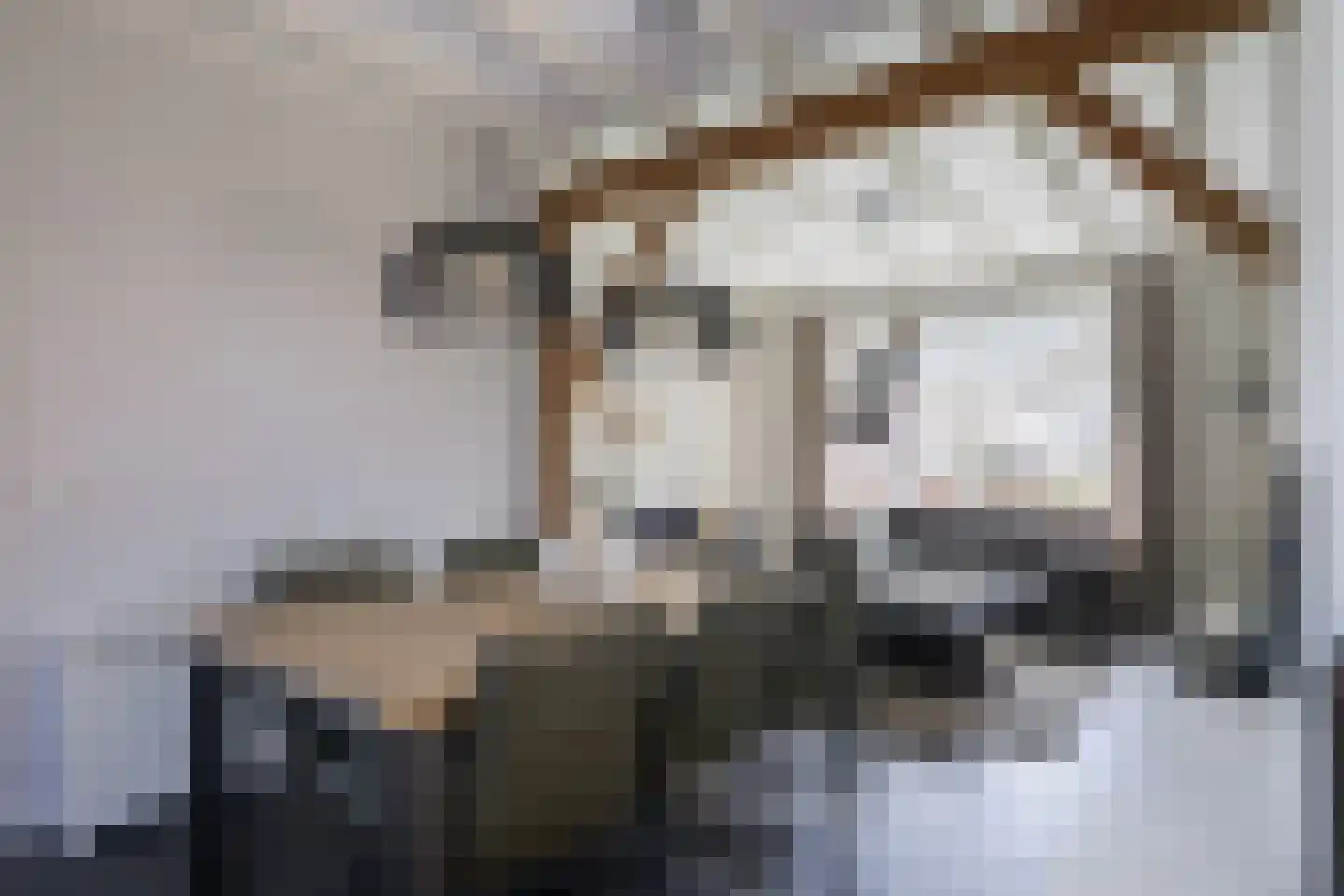 Zuiderlaan 9 Aalten thumbnail 12