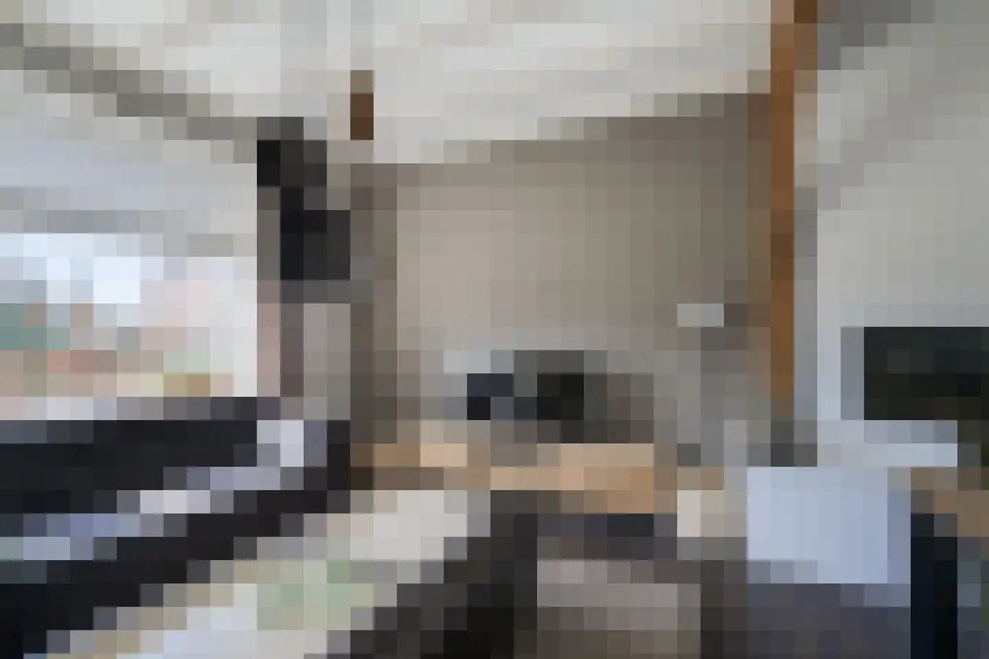 Zuiderlaan 9 Aalten thumbnail 14