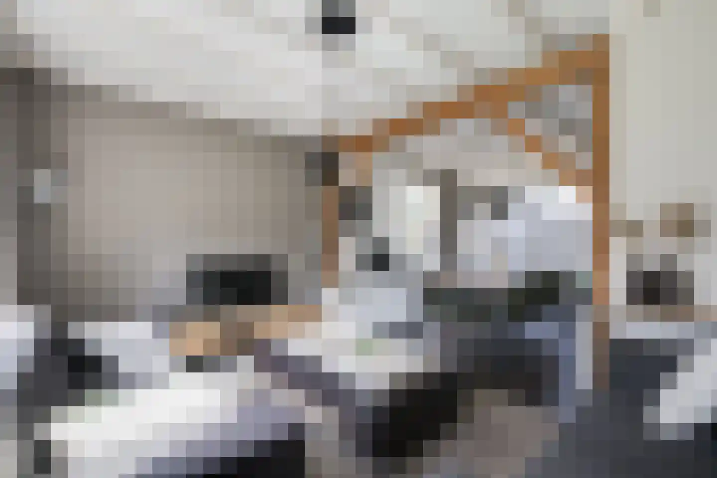 Zuiderlaan 9 Aalten thumbnail 15