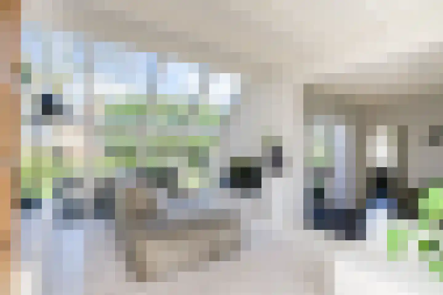 Zuiderlaan 9 Aalten thumbnail 19