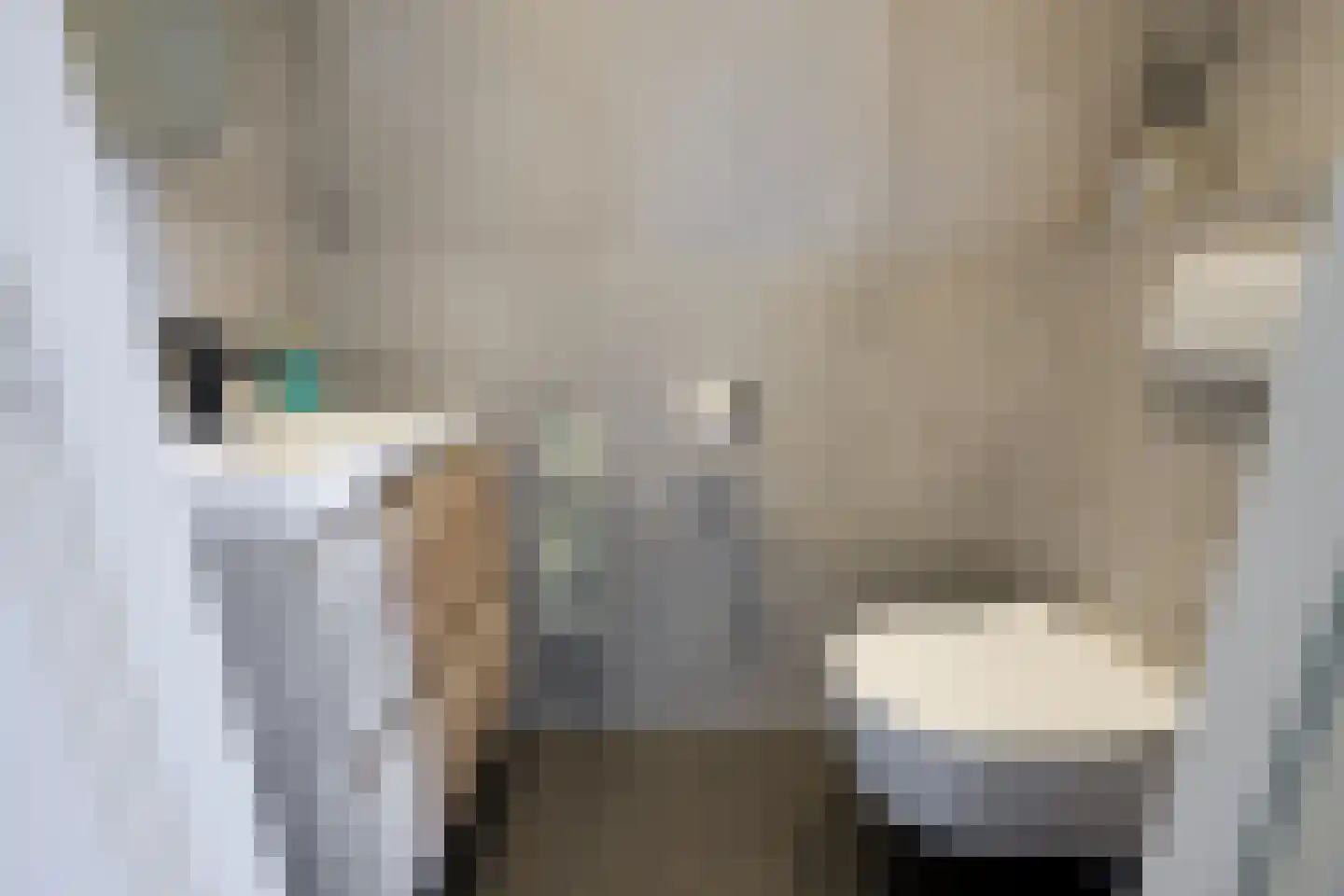 Zuiderlaan 9 Aalten thumbnail 28