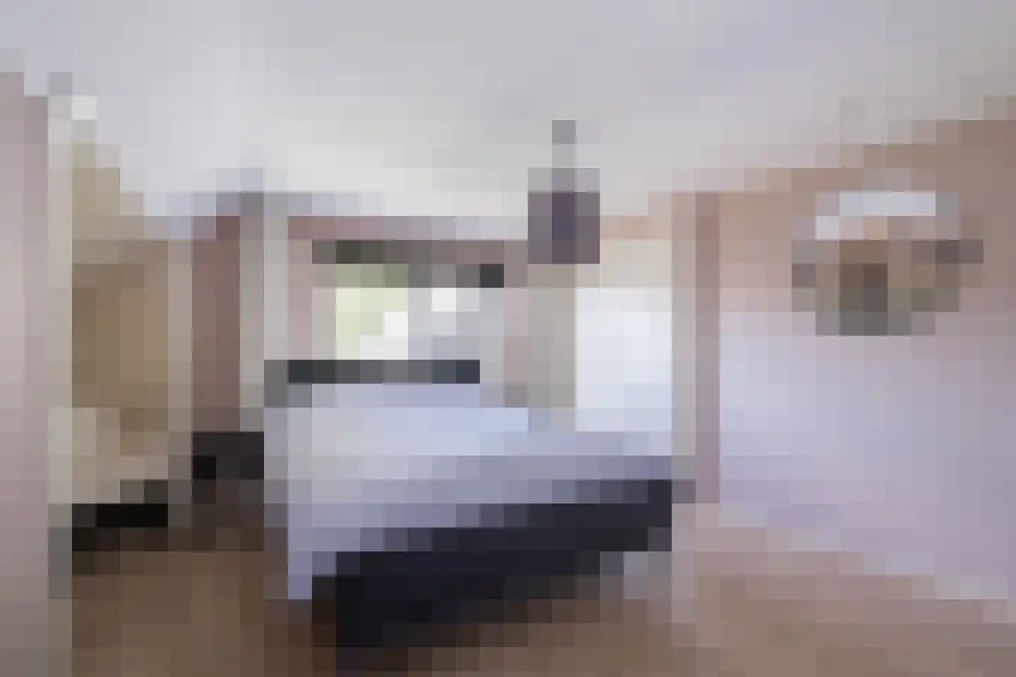 Zuiderlaan 9 Aalten thumbnail 32