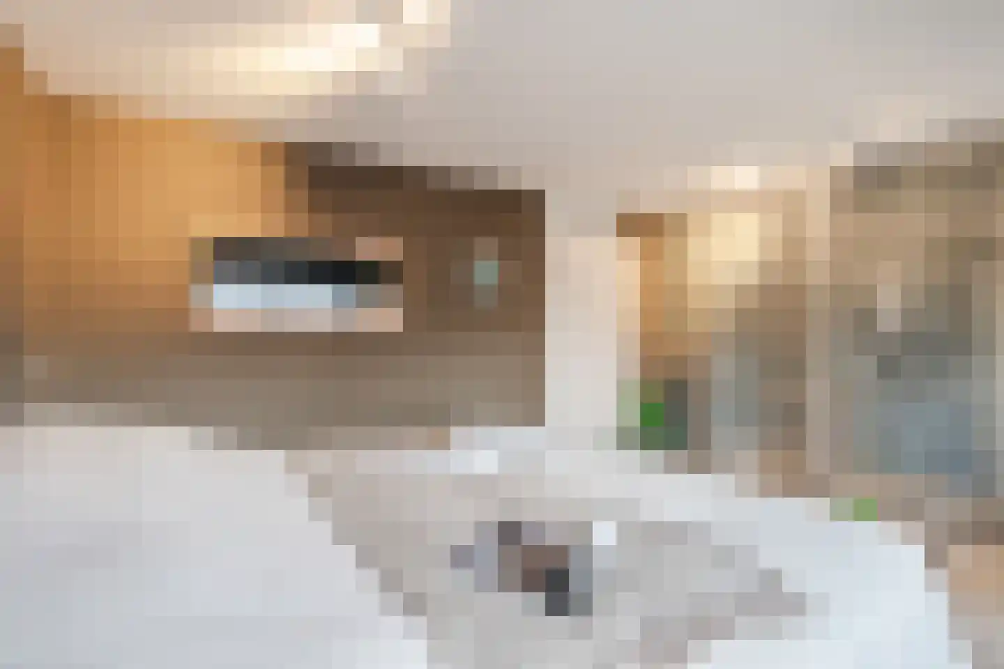 Zuiderland 1 Koog aan de Zaan thumbnail 30