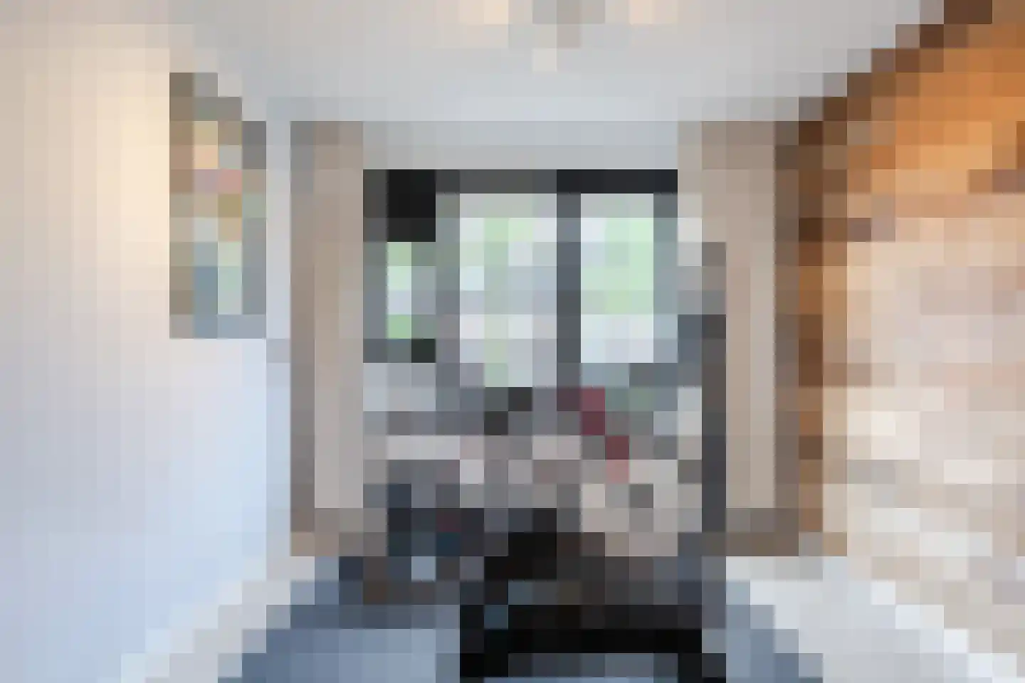 Zuiderland 1 Koog aan de Zaan thumbnail 32