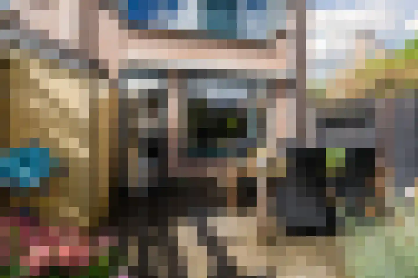 Zuiderland 1 Koog aan de Zaan thumbnail 41