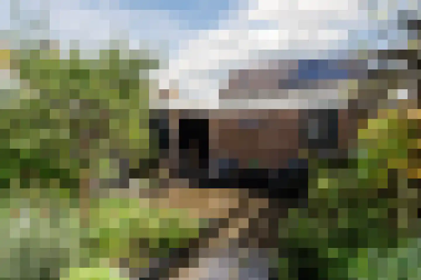 Zuiderland 1 Koog aan de Zaan thumbnail 43