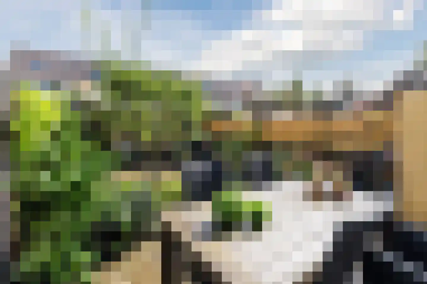 Zuiderland 1 Koog aan de Zaan thumbnail 5