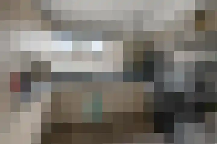 Zuiderland 10 Koog aan de Zaan thumbnail 10
