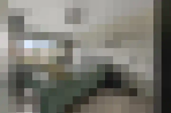 Zuiderland 10 Koog aan de Zaan thumbnail 13