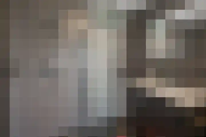 Zuiderland 10 Koog aan de Zaan thumbnail 21