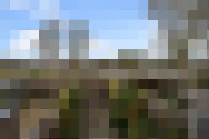 Zuiderland 10 Koog aan de Zaan thumbnail 27