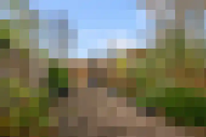 Zuiderland 10 Koog aan de Zaan thumbnail 28