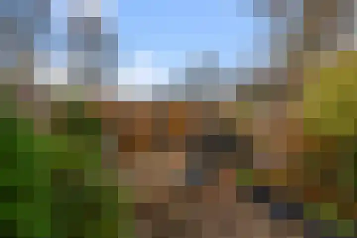 Zuiderland 10 Koog aan de Zaan thumbnail 29