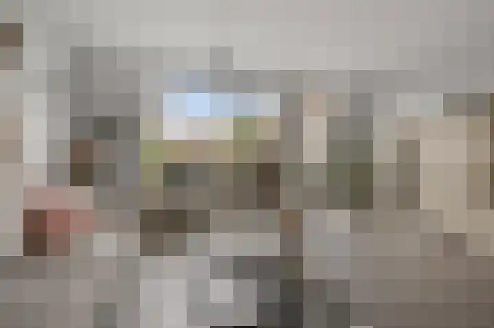 Zuiderland 10 Koog aan de Zaan thumbnail 5