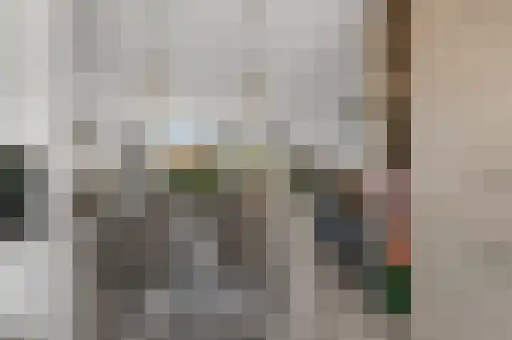 Zuiderland 10 Koog aan de Zaan thumbnail 7