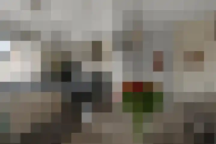 Zuiderland 10 Koog aan de Zaan thumbnail 9