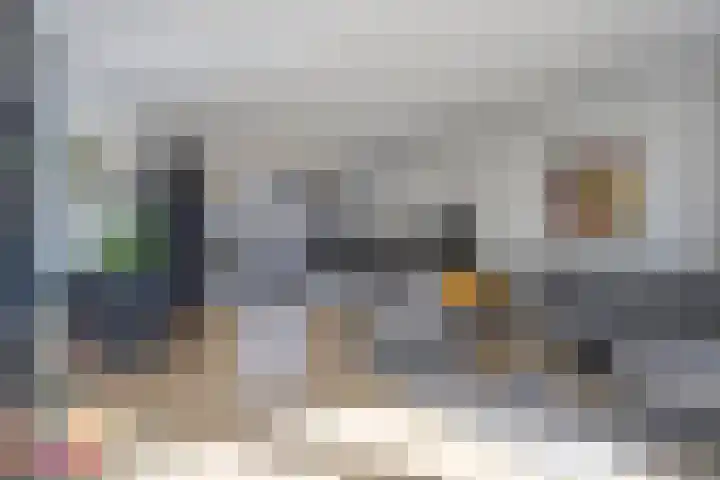 Zuiderland 12 Koog aan de Zaan thumbnail 13