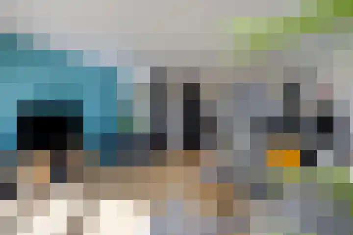 Zuiderland 12 Koog aan de Zaan thumbnail 14