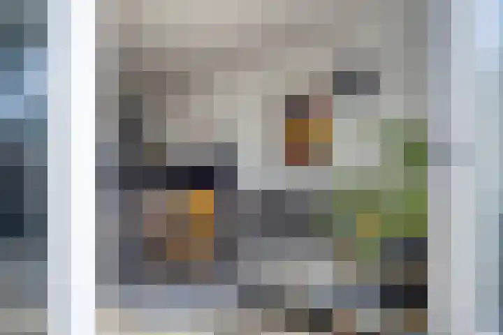 Zuiderland 12 Koog aan de Zaan thumbnail 15