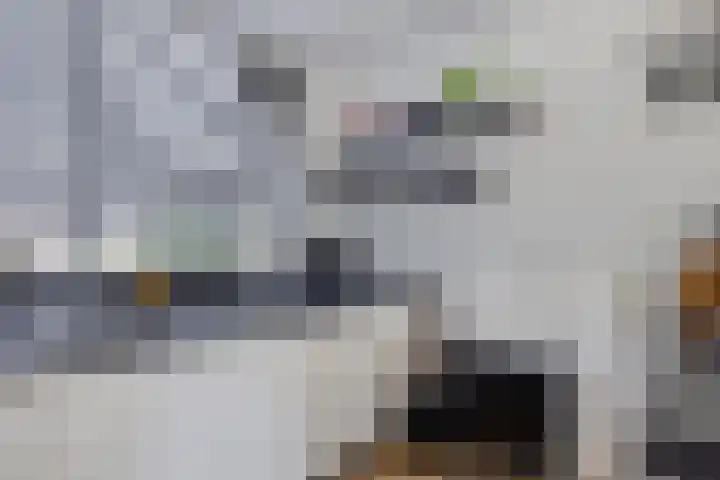 Zuiderland 12 Koog aan de Zaan thumbnail 18