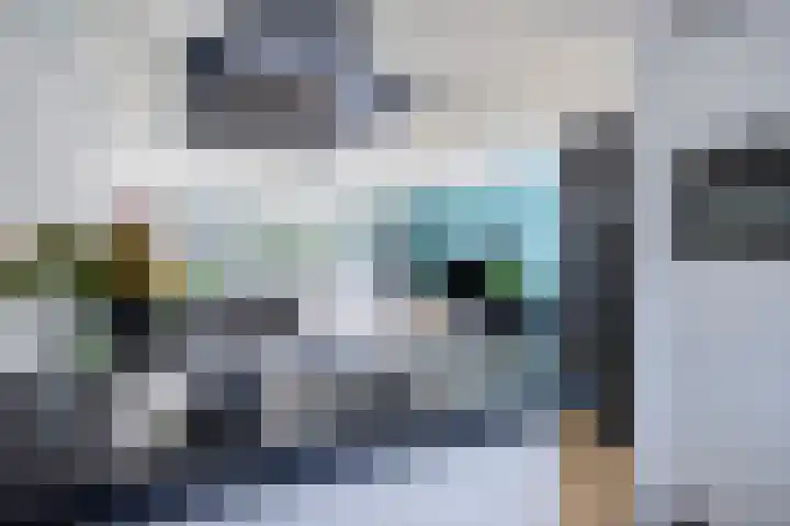 Zuiderland 12 Koog aan de Zaan thumbnail 20