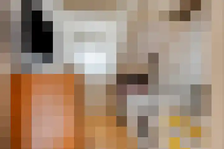 Zuiderland 12 Koog aan de Zaan thumbnail 29