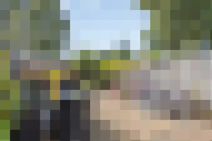 Zuiderland 12 Koog aan de Zaan thumbnail 32