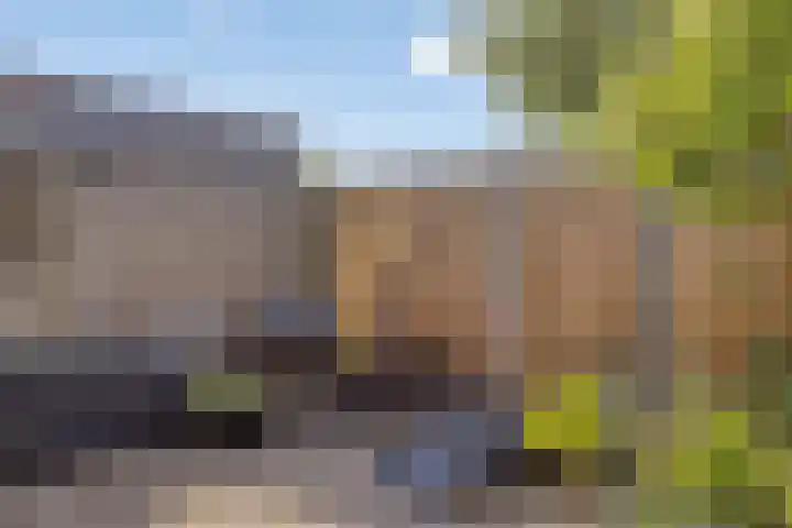 Zuiderland 12 Koog aan de Zaan thumbnail 33