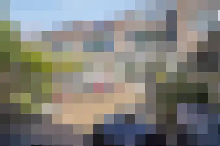 Zuiderland 12 Koog aan de Zaan thumbnail 34