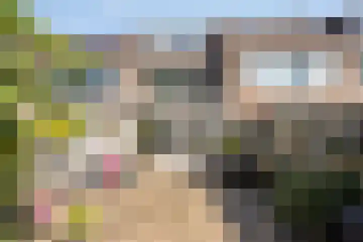 Zuiderland 12 Koog aan de Zaan thumbnail 35