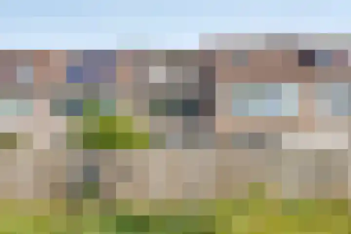 Zuiderland 12 Koog aan de Zaan thumbnail 36