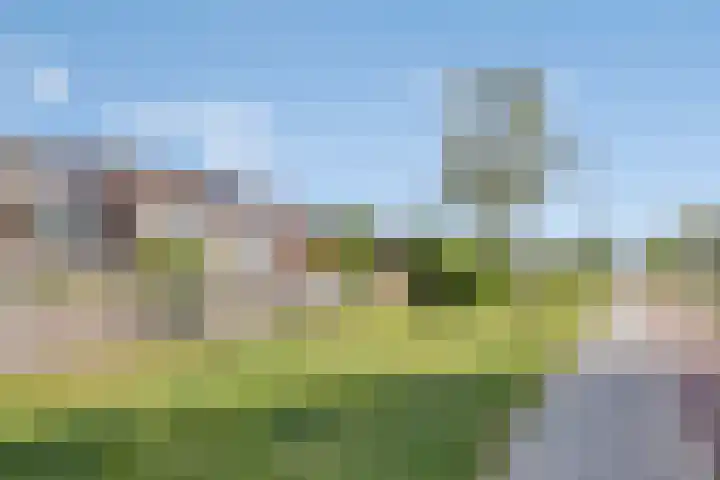 Zuiderland 12 Koog aan de Zaan thumbnail 39