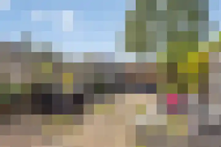 Zuiderland 12 Koog aan de Zaan thumbnail 4