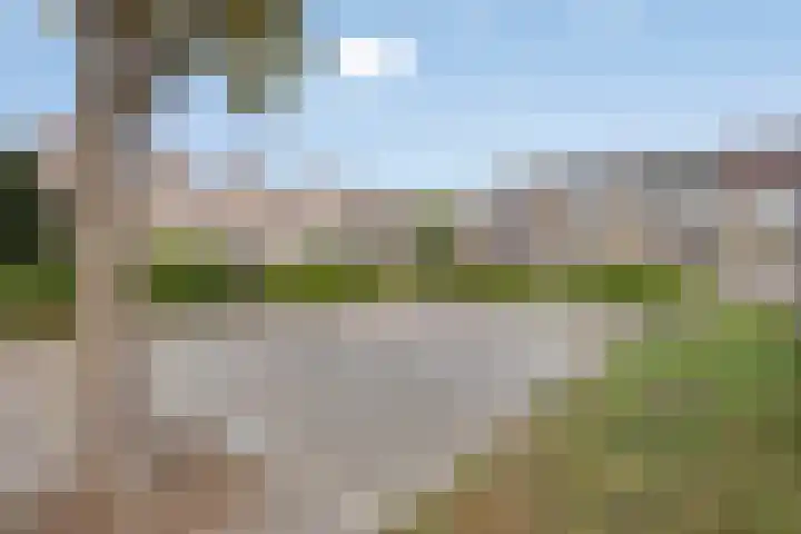 Zuiderland 12 Koog aan de Zaan thumbnail 40