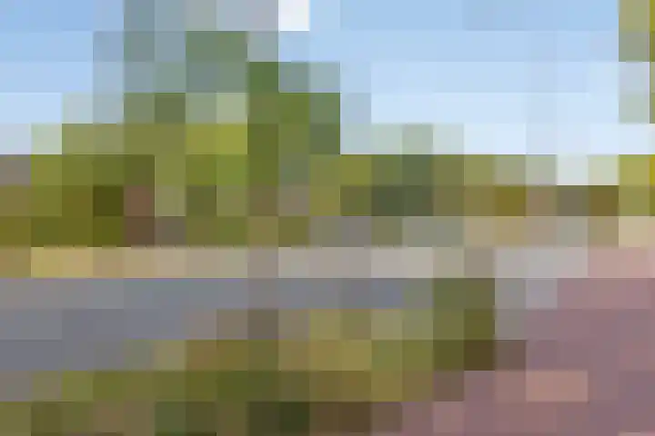 Zuiderland 12 Koog aan de Zaan thumbnail 41