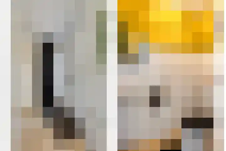 Zuiderland 12 Koog aan de Zaan thumbnail 9