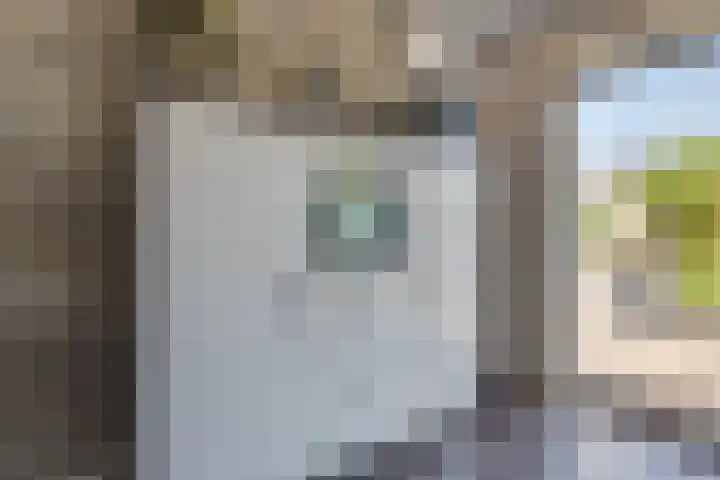 Zuiderlicht 103 Heerhugowaard thumbnail 15
