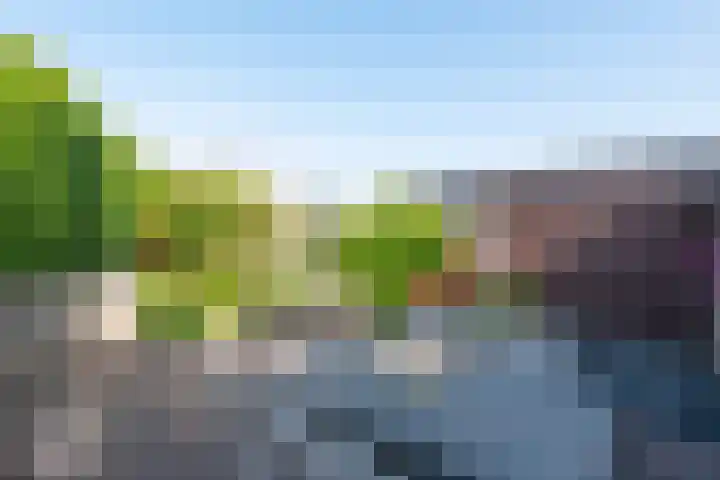 Zuiderlicht 103 Heerhugowaard thumbnail 37