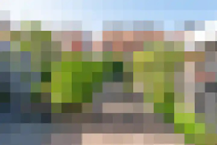 Zuiderlicht 103 Heerhugowaard thumbnail 41