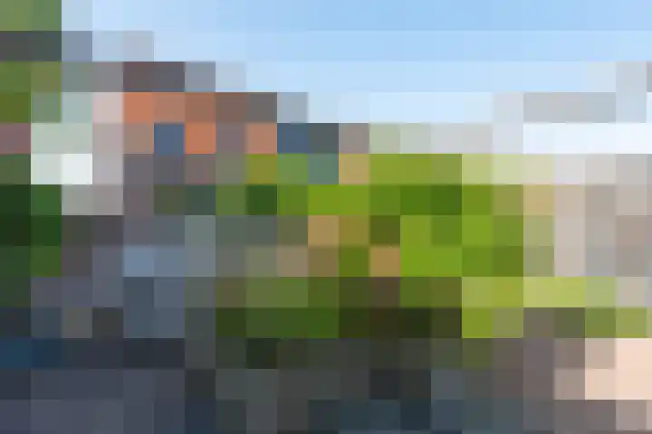 Zuiderlicht 103 Heerhugowaard thumbnail 42