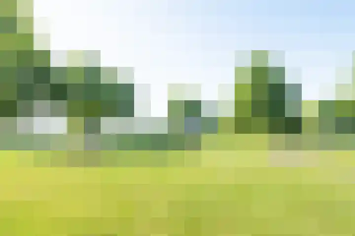 Zuiderlicht 103 Heerhugowaard thumbnail 47