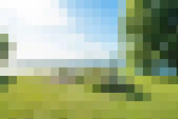 Zuiderlicht 103 Heerhugowaard thumbnail 48
