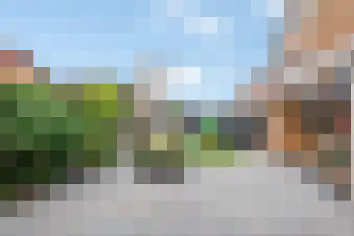 Zuiderlicht 131 Heerhugowaard thumbnail 15