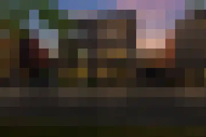 Zuiderlicht 131 Heerhugowaard thumbnail 38