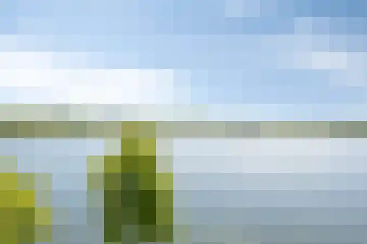 Zuiderlicht 135 Heerhugowaard thumbnail 56